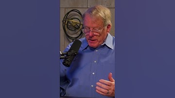 INCREDIBLE Bee Brain