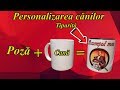 Cum se tipăresc cănile | Personalizarea cănilor | Mereu pe pozitiv