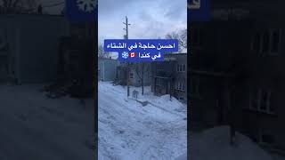 الفريزر في الشارع | 🇨🇦 أحسن حاجة في الشتاء في كندا