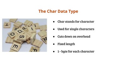 CompTIA ITF+ FC0-U61 2022 1.2 Data Types