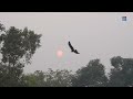 Delhi's Toxic Haze Crisis Worsens: Pollution Levels Reach Severe Plus, Emergency Measures in Effect