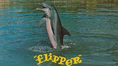Flipper - Intro [1964]