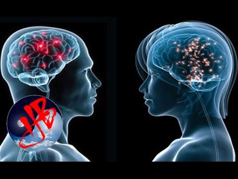 Video: 9 Huyền Thoại Về Bộ Não Con Người