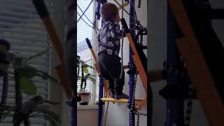 Michael is climbing a ladder 🌞