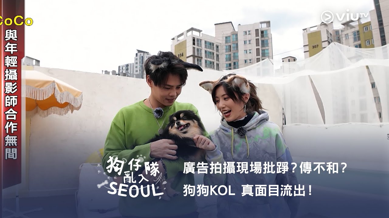 《狗仔隊亂入Seoul》📸🐶廣告拍攝現場批踭？傳不和？狗狗KOL 真面目流出！ - YouTube