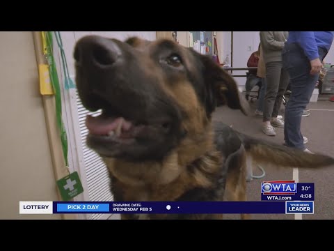 St. Marys Middle School class gets PAWsome visitor