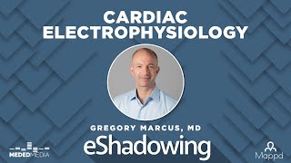 Solving the Puzzles of the Heart With Dr. Gregory Marcus