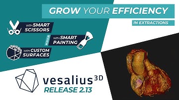 Vesalius3D 2.13 - Customize Surfaces (1/2)