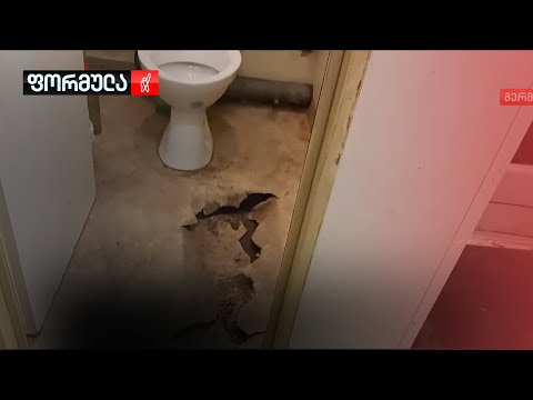 გერმანიაში სამუშაოდ წასული ქართველების უმძიმესი სამუშაო პირობები - ექსკლუზიური კადრები