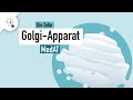 Golgi-Apparat | Aufbau &amp; Funktion | MedAT | Biologie