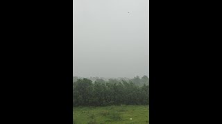 Gujarat's Monsoon: A Dance of Rain and Resilience (Live) screenshot 2