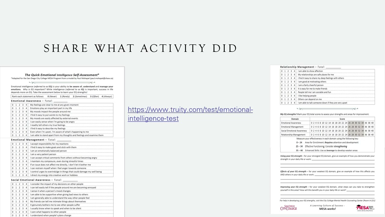 Responsive Professional Development Plan- Emotional Intelligence