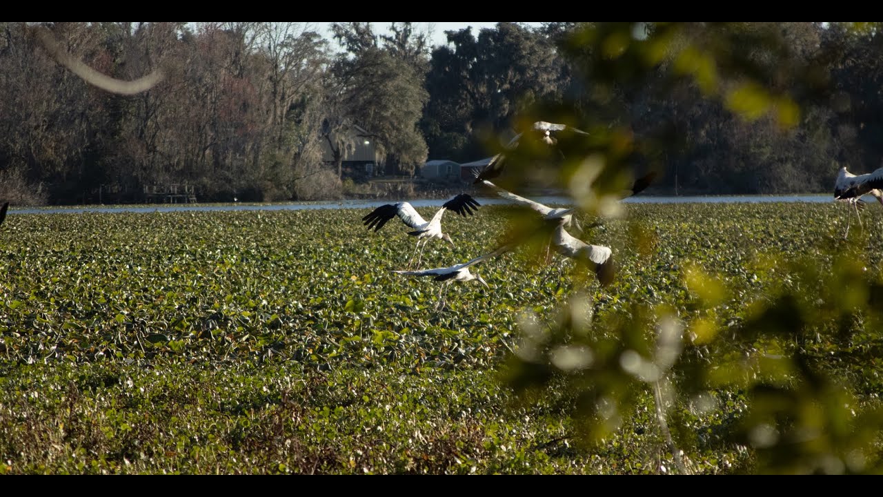 Finding Identity, with AJ and Tori