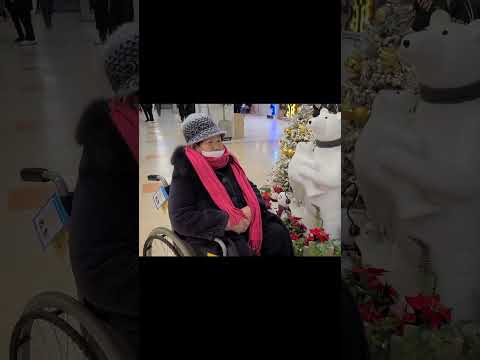 금동 할머니 병원가는 날 2023.1.26 정기진료 받으러 도시병원 다녀왔어요  #고창갯벌마을금동팜 #진돗개부부 #금동복실 #진돗개 #금동이 #<strong>예수병원</strong>