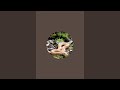 Calm By Nature Reptiles is live!