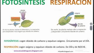 Ciencias Naturales. Procesos Biológicos.