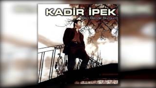 Kadir İpek - Kanarya Resimi