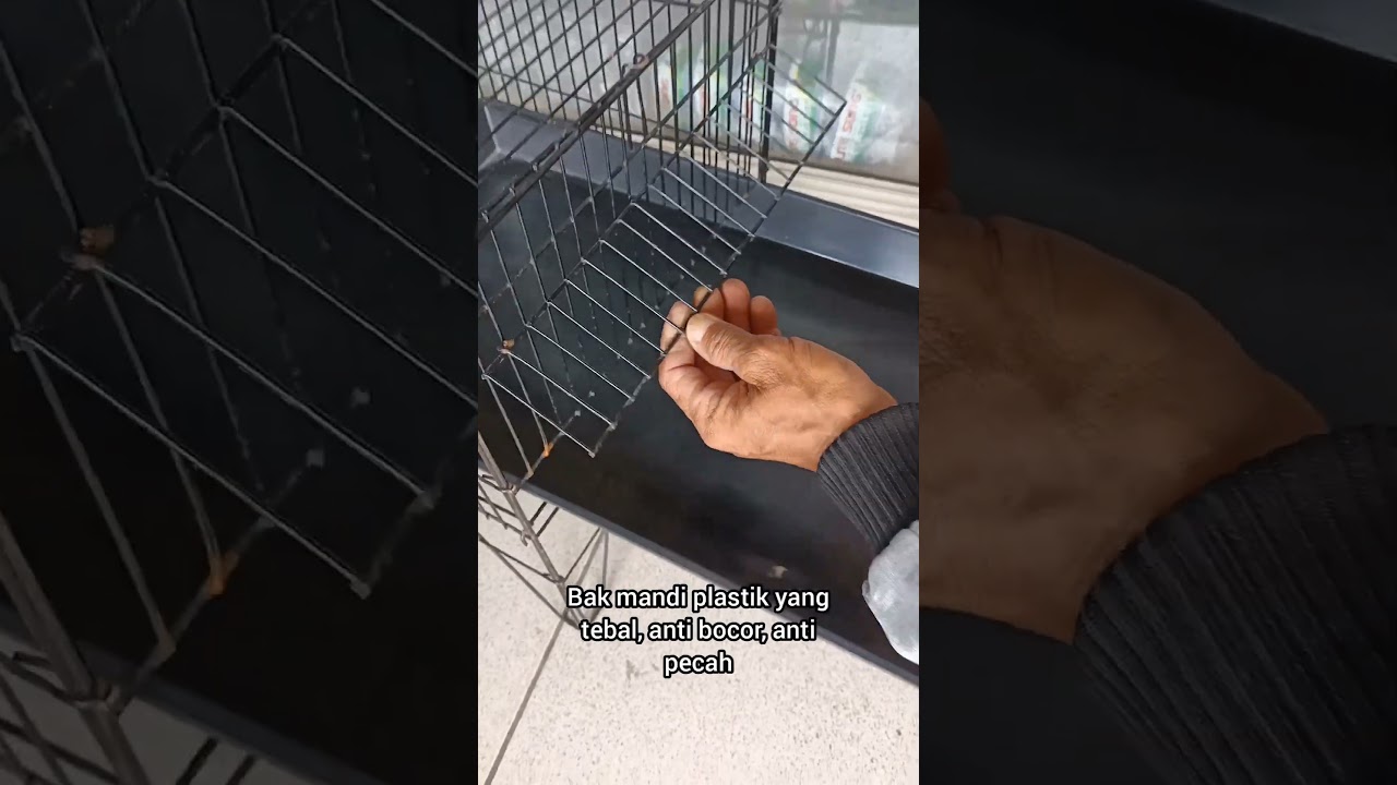 Kramba mandi burung harga murah kwalitas mewah !!