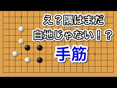 【囲碁】手筋講座!感動の手筋編〜No264 YouTube