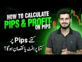 What Is Pip In Forex Trading How To Calculate Per Pip Profit Loss