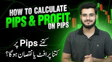 What is Pip in Forex Trading - How to Calculate per Pip Profit & Loss
