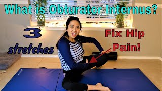 Hip Groin Pain, What is Obturator Internus? 3 Best Exercises Fix!
