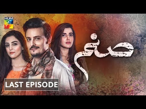 Sanam — Sanam Last Episode HUM TV Drama