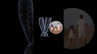 Por Qué Los Animales Híbridos Son Estériles?