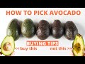 How to Pick Avocado - Tips for buying perfect avocados at the store.