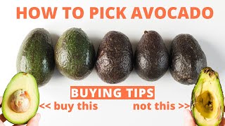 How to Pick Avocado - Tips for buying perfect avocados at the store. screenshot 5