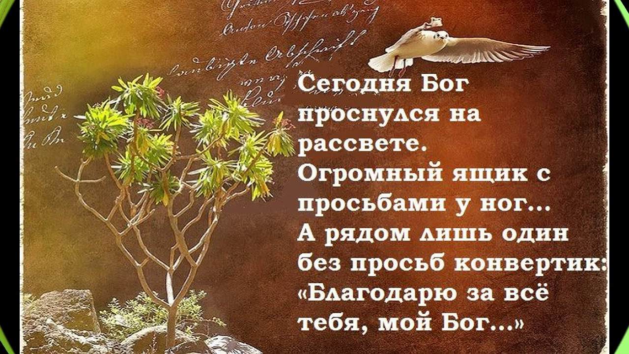 Утром проснусь на рассвете. Христианские высказывания. Красивые стихи о жизни. Бог проснулся на рассвете. Библейские стихи.