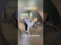 В КОНЦЕ НАС ПРОГНАЛИ😭| приколы с хазяевами #кореш #хазяева #парадеевич
