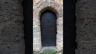 красивая старинная дверь #10