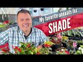 Planting containers for shade im including my favs