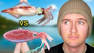 Celebrity I Fished Bait Against Lures Net Worth