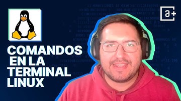 Aprende los Comandos Principales de la Terminal Linux #aluramás