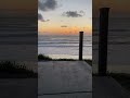 #oregon #asmr #shorts #nature #beach #beautiful #getoutside #birds #thanksforwatching
