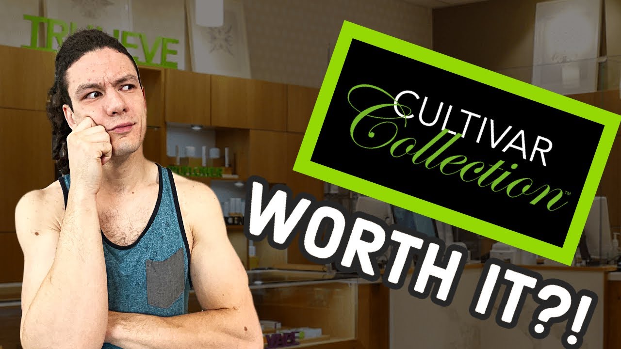 Cultivar Cannabis Strain Review Animal Face x Kush Mints YouTube