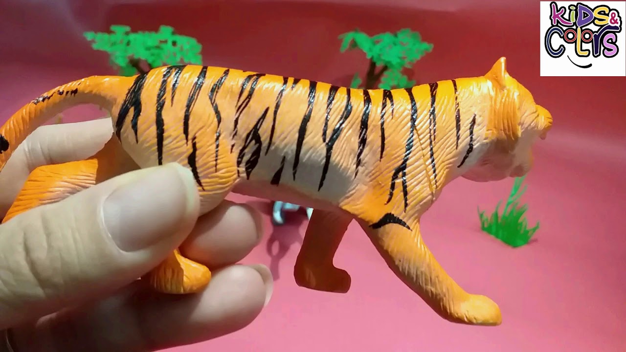 Wild animals name and sound - YouTube