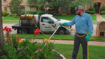 Know the Why, When, & How for Tree & Shrub Fertilization