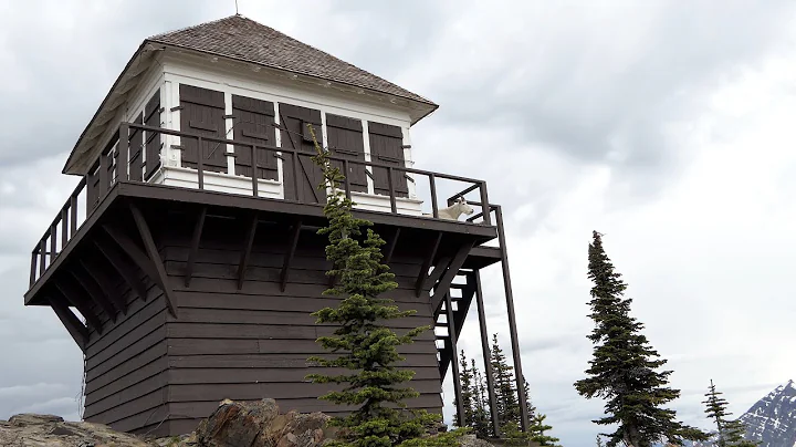 Mt Brown Lookout 2022