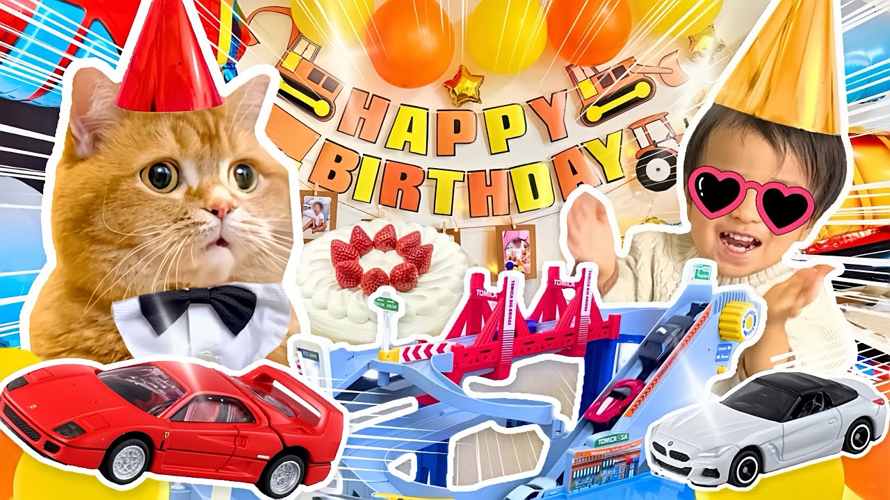 Cat & His Little Brother, Born on the Same Day: One Got Left