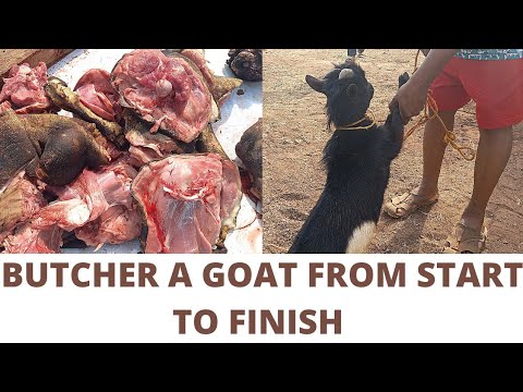 How to kill and cut a goat into nice parts at home #fullgoatcutting