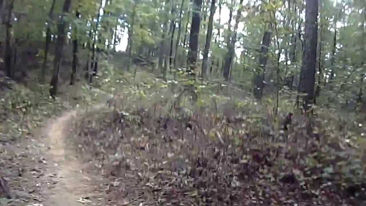 Gainesville Bike Trail 03 YouTube