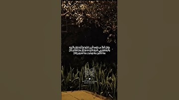 من الآية 31 إلى الآية 35 #سورة_المؤمنون #قرآن #قران_كريم #تلاوة #تلاوات #راحة_نفسية