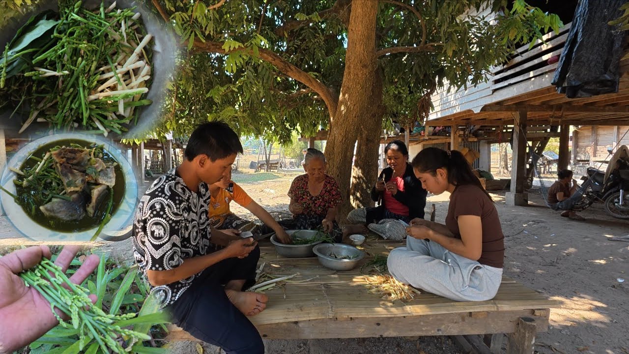 ແກງຂອງຈາກປ່າອີກແລ້ວ | แกงของมาจากป่าอีกแล้ว