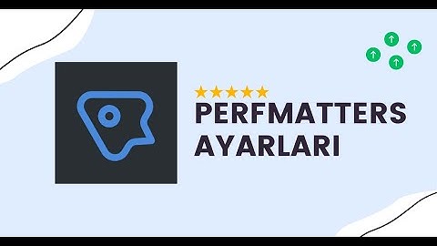 Profesyonel Perfmatters Ayarları Nasıl Yapılır 2025 💨 ADIM ADIM