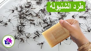 طرد الشنيولة 🦗حيل رهيبة للقضاء على البعوض بدون مبيد