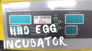 HHD Incubator review and usage - 48 eggs incubator