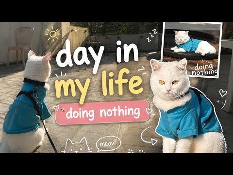 Doing nothing…